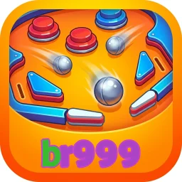 br999